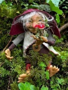 magikito-avec-champignon
